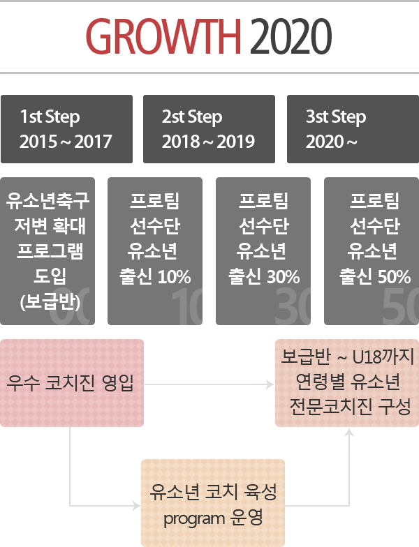 1st step 2015~2017, 1st step 2018~2019, 1st step 2020~ / 유소년 축구 저변 확대 프로그램도입(보급반), 프로팀 선수단 유소년 출신10%, 프로팀 선수단 유소년 출신 30%, 프로팀 선수단 유소년 출신 50%, 우수코치진 영입 보급반 U-18가지 연령별 유소년 전문코치진 구성, 유소년 코치 육성 program 운영